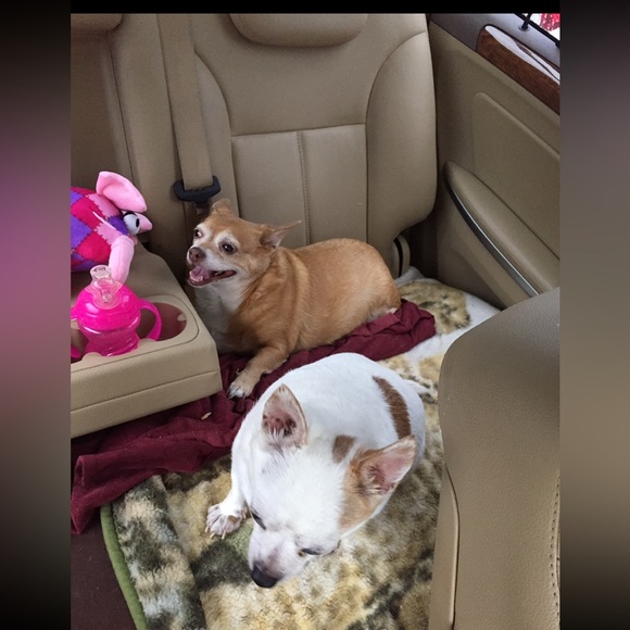 Meet your Posher, Jessica - Picture 8 of 16